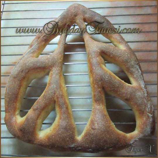 Fougasse_2 (1024x768)