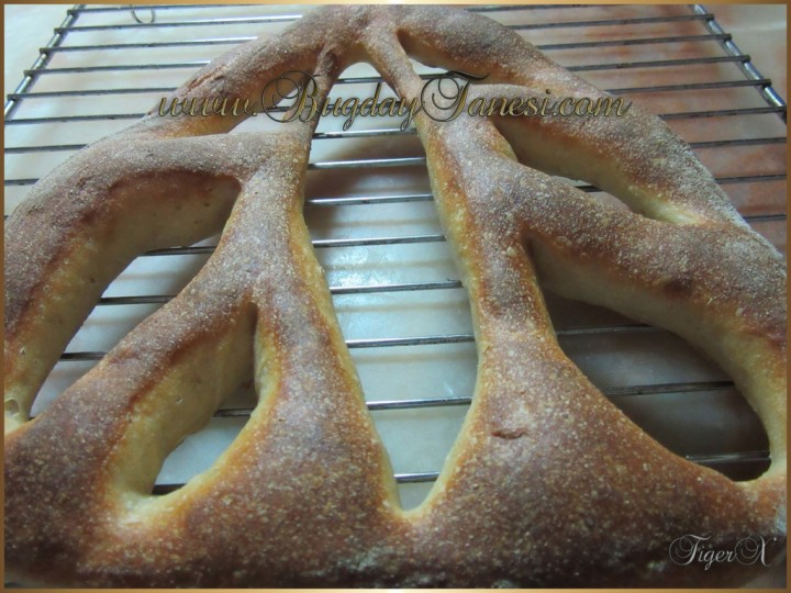 Fougasse_3 (1024x768)